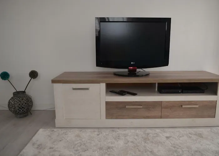 Modern And Cozy Apartment